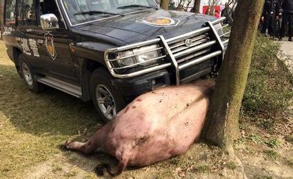 中国色织行业协会申请更名为中国长